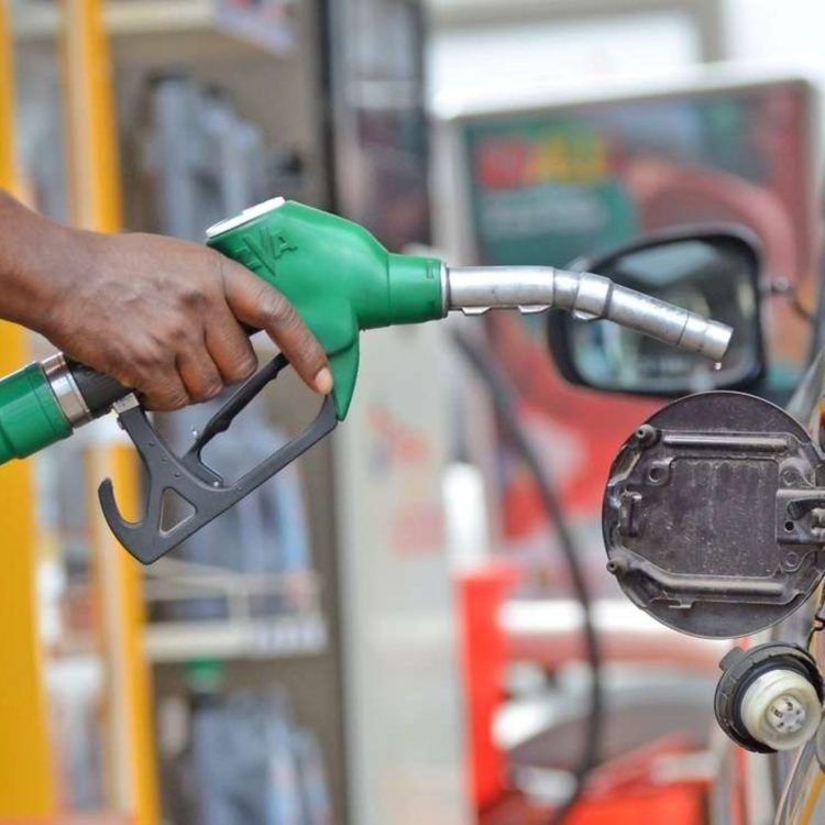 Star Oil consolidates position as market leader, overtaking GOIL - NPA Star Oil consolidates position as market leader, overtaking GOIL - NPA