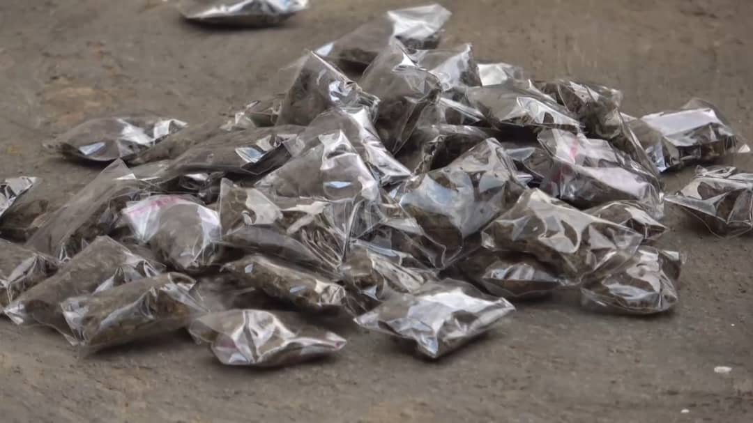 Six convicted as NACOC destroys seized drugs in Savannah Region