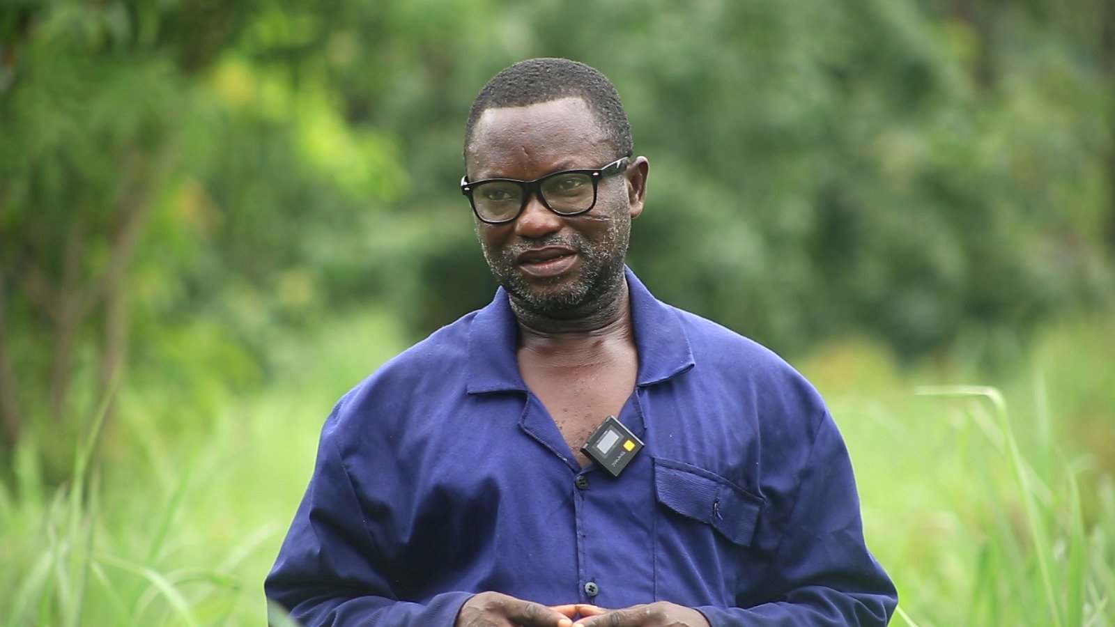 Mango farmers reap big as PPEDCO turns crop disease into a success story