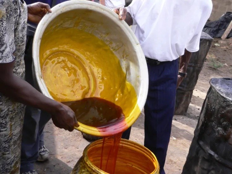 Government announces plans to cut oil palm import by $2bn