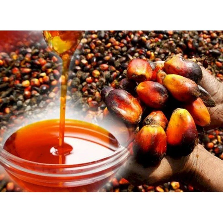 Government announces plans to cut oil palm import by $2bn