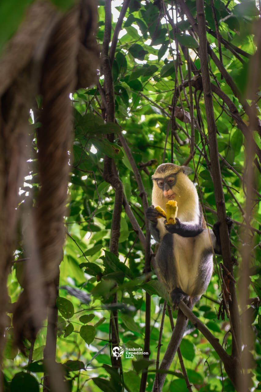 Bringing Theory to Life: UniMAC’s Distinctive Tourism Marketing Experience