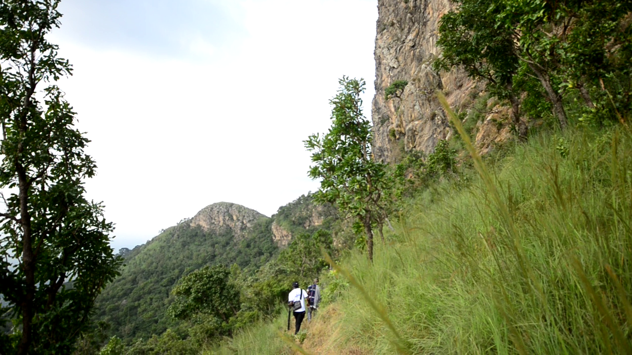 Amedzofe opens 2 sacred sites to tourism traffic