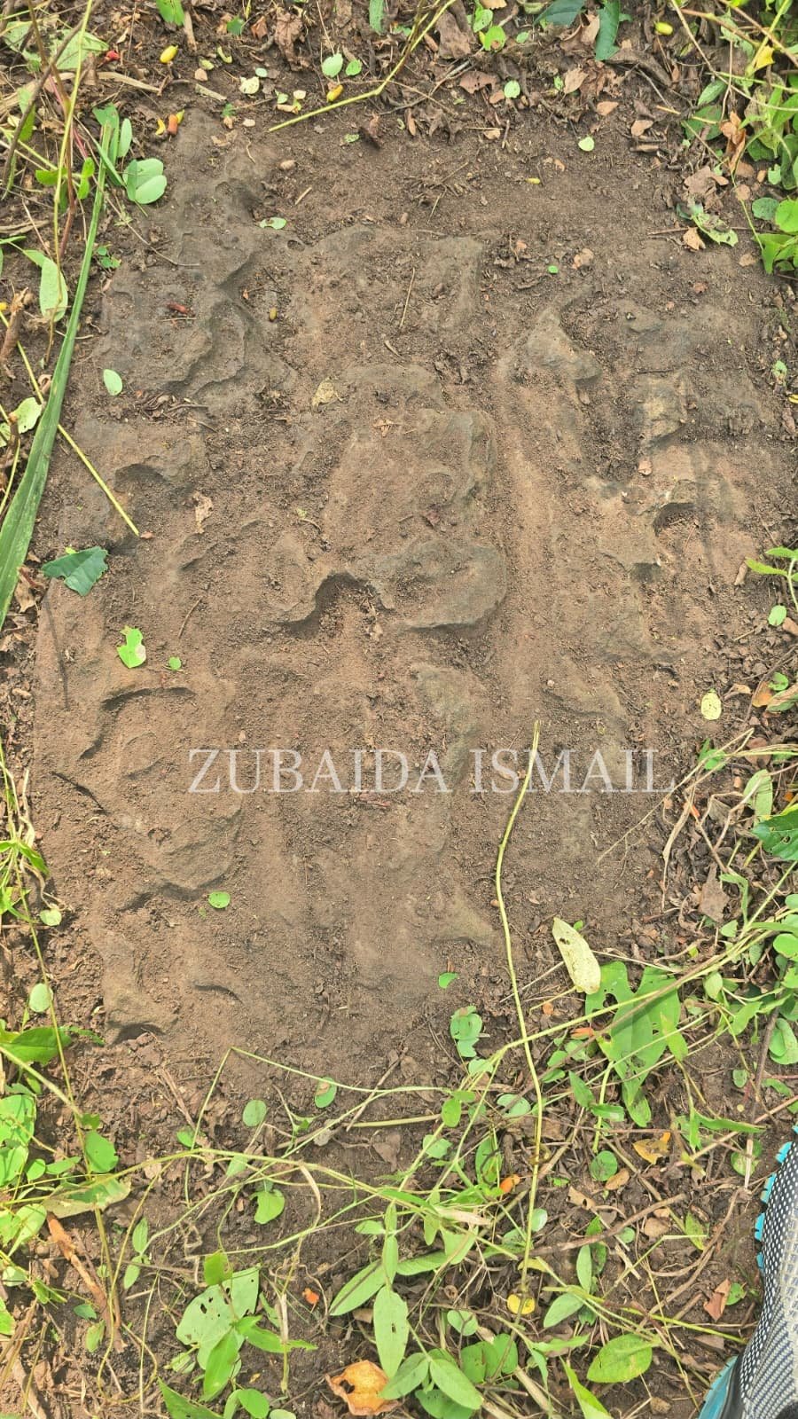 The big find in the Savannah Region: some of the oldest texts embedded in rocks?