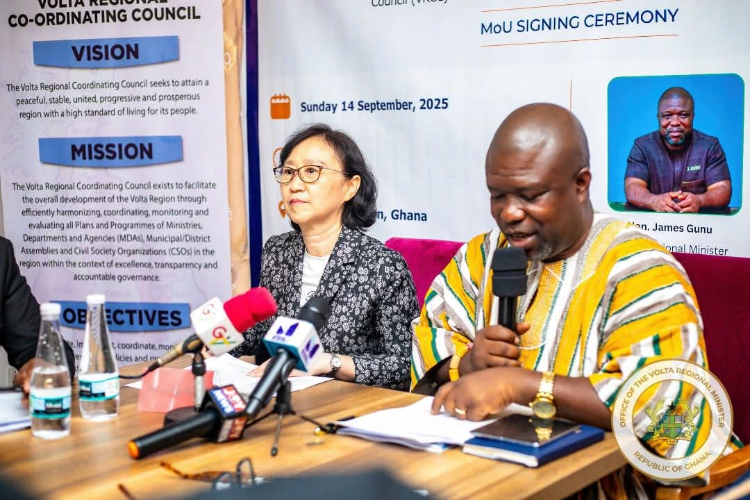 Volta RCC signs MoU with Shenzhen to boost green technology and investment