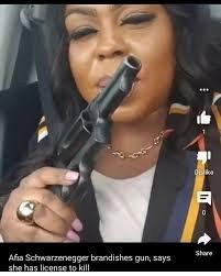 Disarming the Streets: How Toronto’s Gun Retrieval Program is Saving Lives and Why Ghana Must Follow Suit Disarming the Streets: How Toronto’s Gun Retrieval Program is Saving Lives and Why Ghana Must Follow Suit