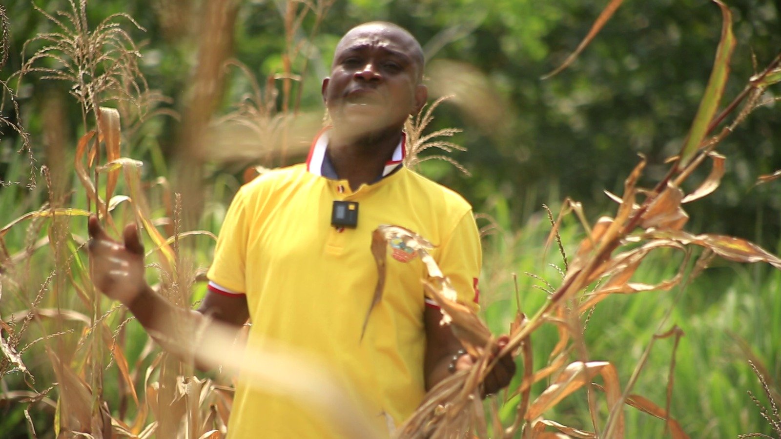 Left behind by long dry days: Nante-Zongo’s farmers struggle to survive changing weather patterns
