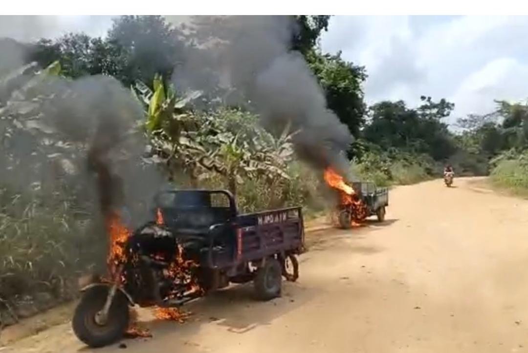 NAIMOS leads decisive operation at Oda River Forest Reserve; arrests armed imposters NAIMOS leads decisive operation at Oda River Forest Reserve; arrests armed imposters