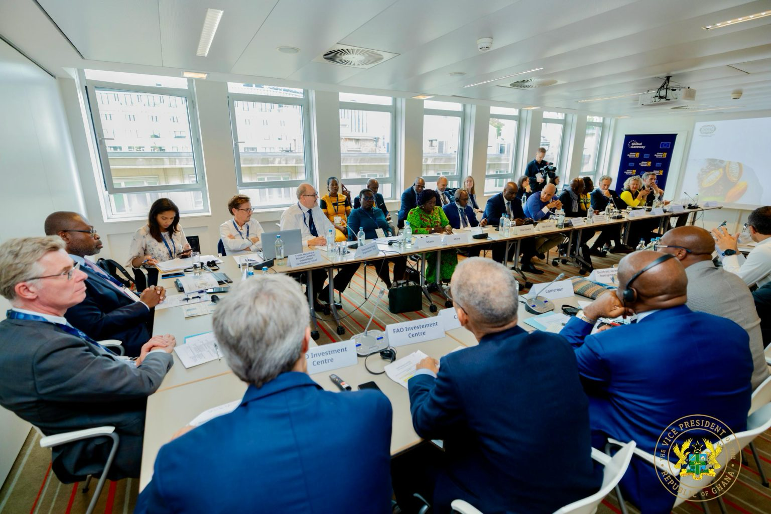 Veep Opoku-Agyemang calls for well-structured blended financing model to support rural cocoa processors