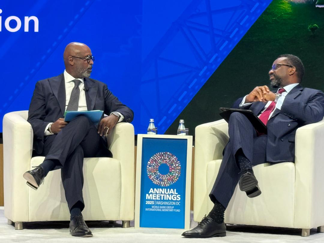 'We didn’t manipulate the market, we saved it' – BoG Governor defends FX actions