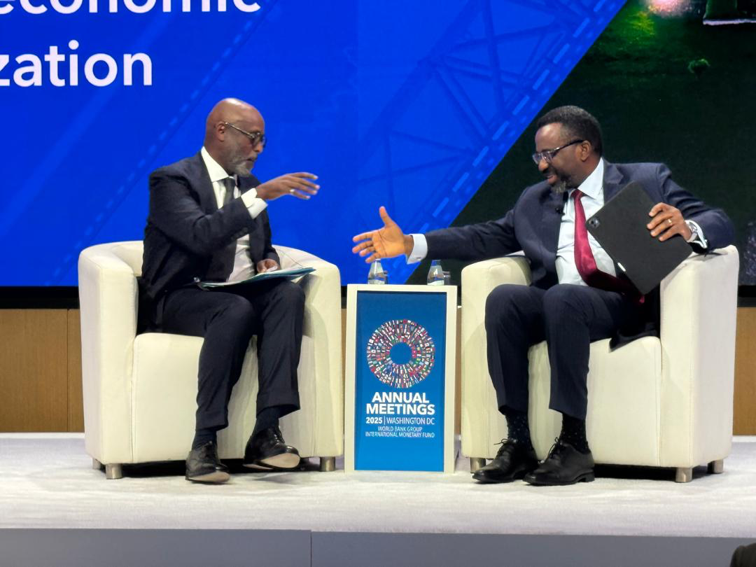 'We didn’t manipulate the market, we saved it' – BoG Governor defends FX actions