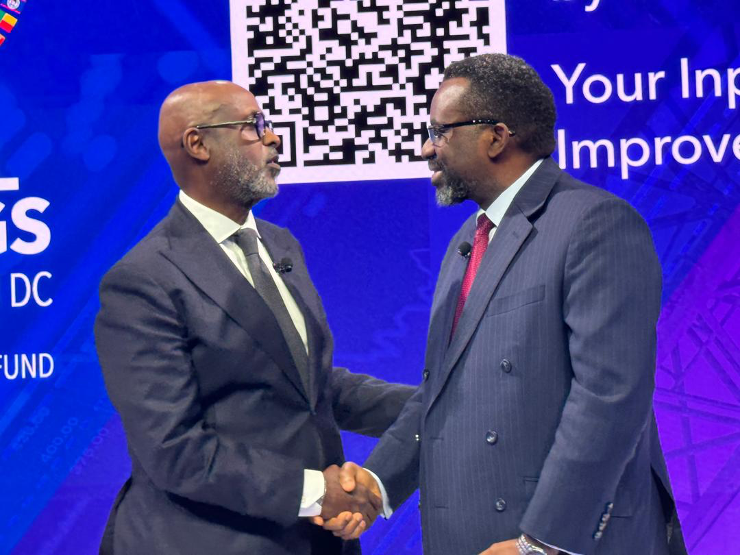 'We didn’t manipulate the market, we saved it' – BoG Governor defends FX actions