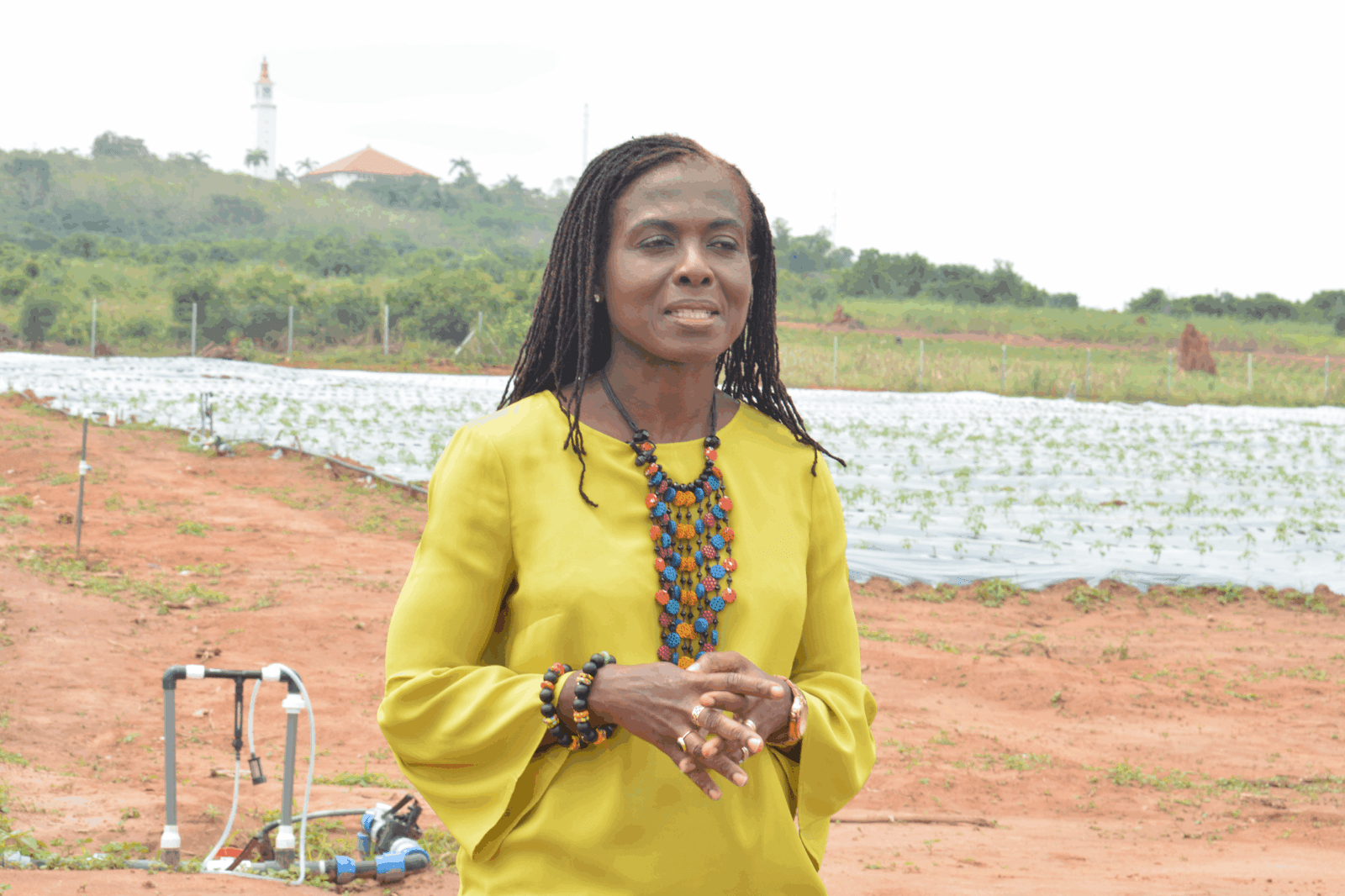 MTN Ghana Foundation inspects progress of Vegetable Centre of Excellence at UG