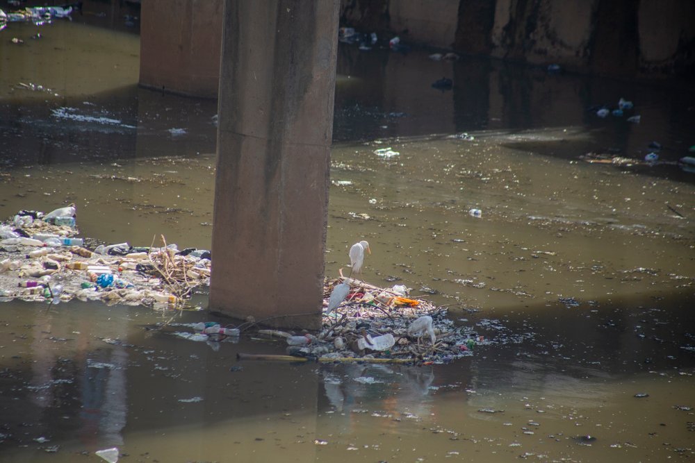 Eight months on: Abandoned silt threatens to reverse Odaw dredging works [Photos]