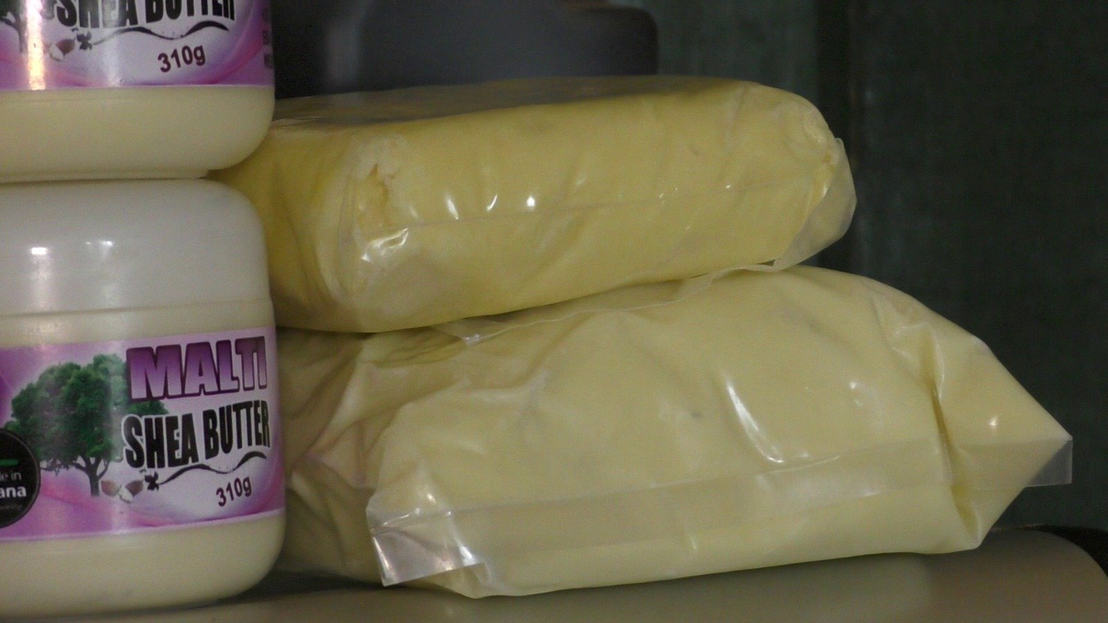 The dying shea trees: How changing weather is driving Northern Ghana’s women into urban struggle