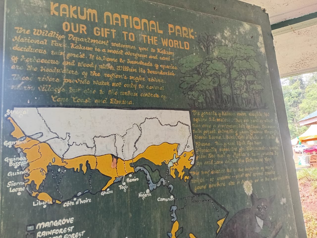 Kakum National Park records over 800,000 visitors in 2024 and 2025