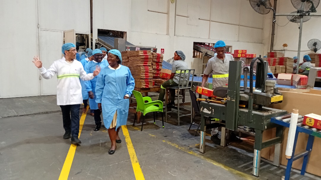 24-Hour Economy model to make Ghana a manufacturing hub - Julius Debrah