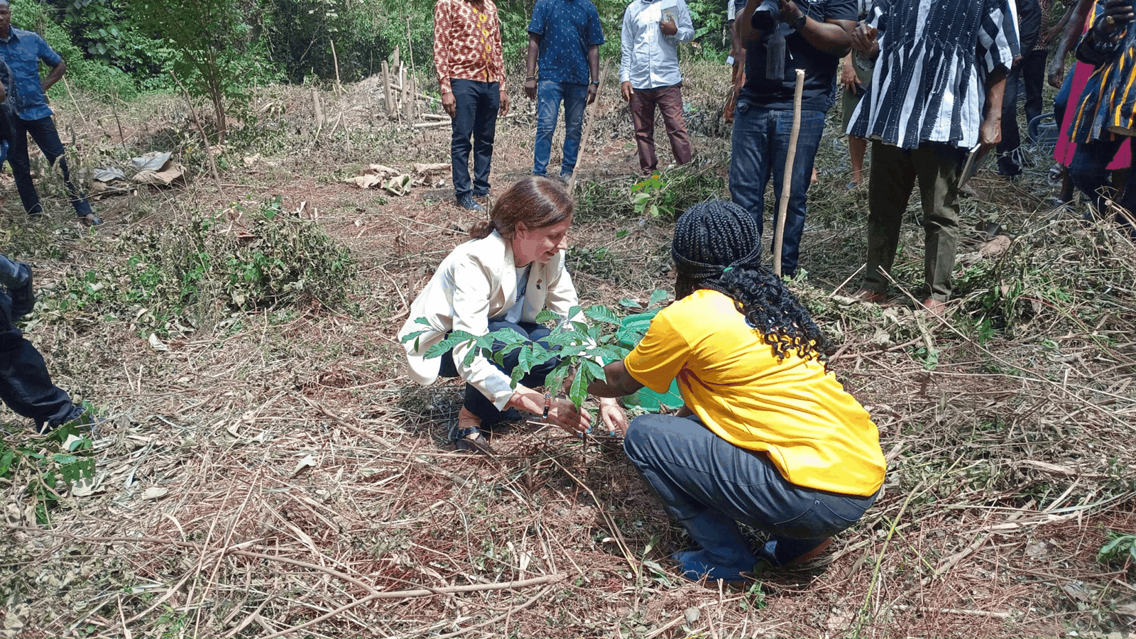 EU launches GH₵31m Forest Restoration Grant Scheme in Ghana’s northern belt and forest zones EU launches GH₵31m Forest Restoration Grant Scheme in Ghana’s northern belt and forest zones