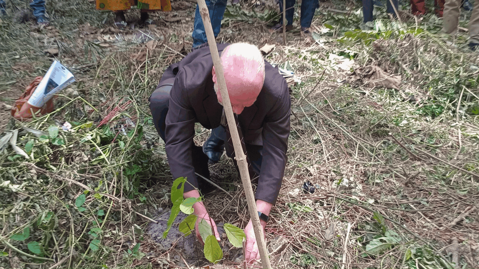 EU launches GH₵31m Forest Restoration Grant Scheme in Ghana’s northern belt and forest zones EU launches GH₵31m Forest Restoration Grant Scheme in Ghana’s northern belt and forest zones