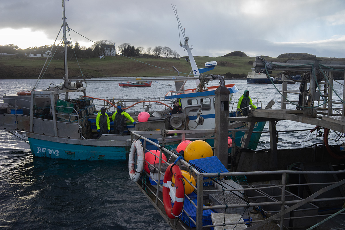 How migrant fishermen followed their catch from Ghana to Denmark-and back How migrant fishermen followed their catch from Ghana to Denmark-and back