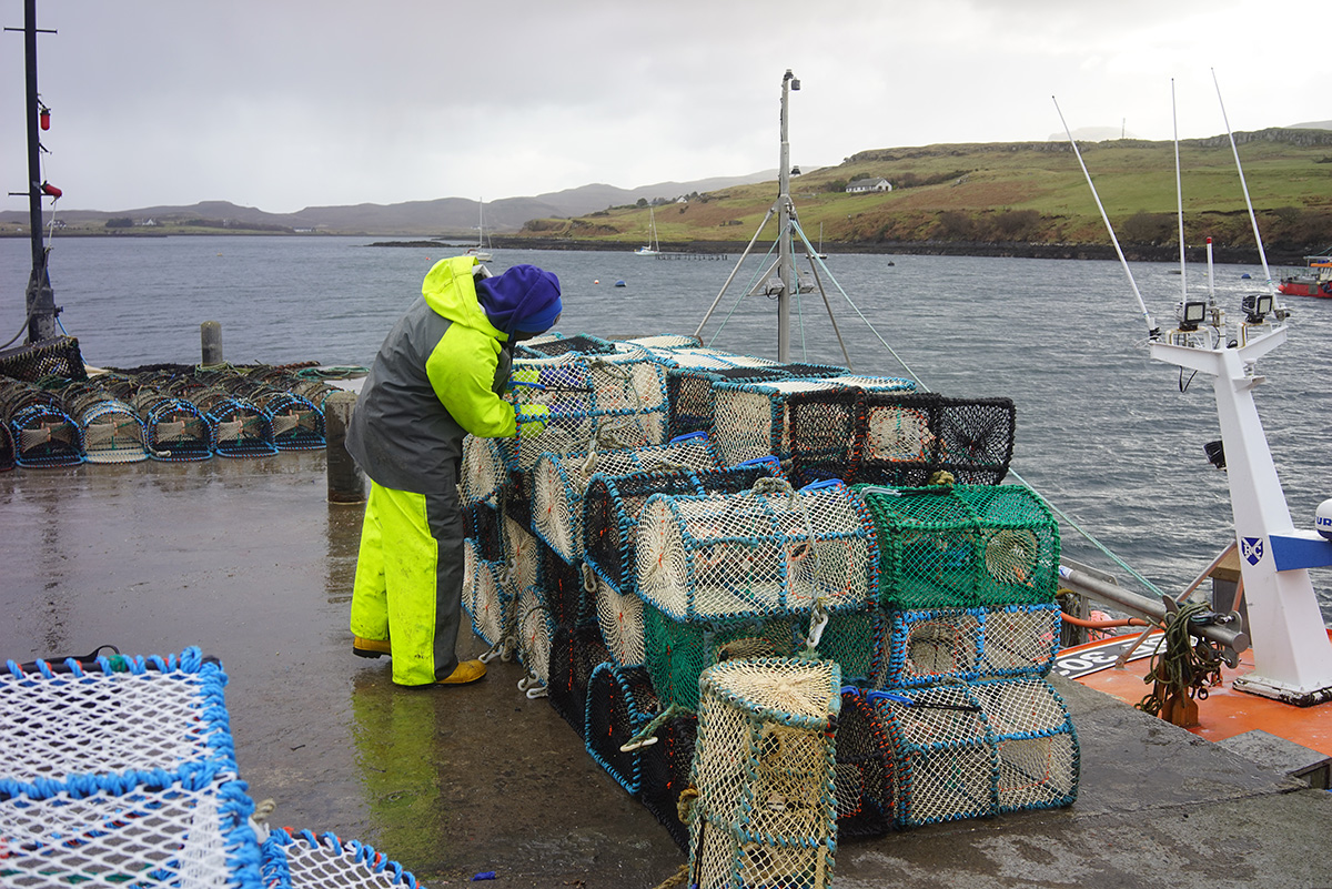 How migrant fishermen followed their catch from Ghana to Denmark-and back How migrant fishermen followed their catch from Ghana to Denmark-and back