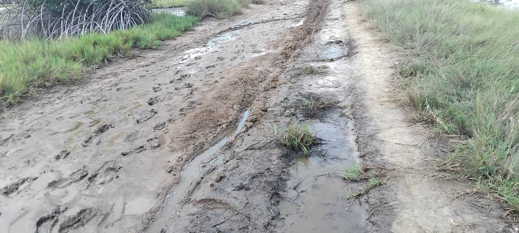Gamenu electoral area cries for help as deplorable roads cut off 13 communities during rains
