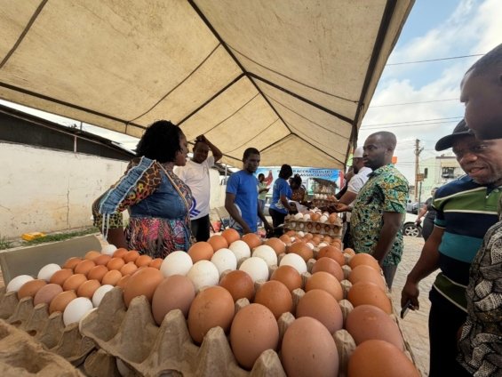 Eggs-traordinary success: Multimedia Group’s Christmas Egg Market sells out in record time as patrons demand extension