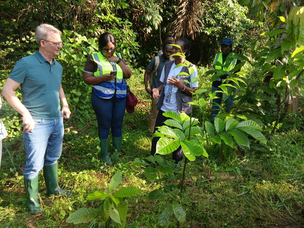 Ghanaian cocoa communities mobilised against galamsey to protect livelihoods and environment