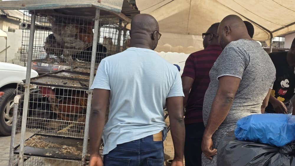 Eggs-traordinary success: Multimedia Group’s Christmas Egg Market sells out in record time as patrons demand extension