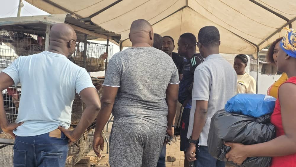 Eggs-traordinary success: Multimedia Group’s Christmas Egg Market sells out in record time as patrons demand extension