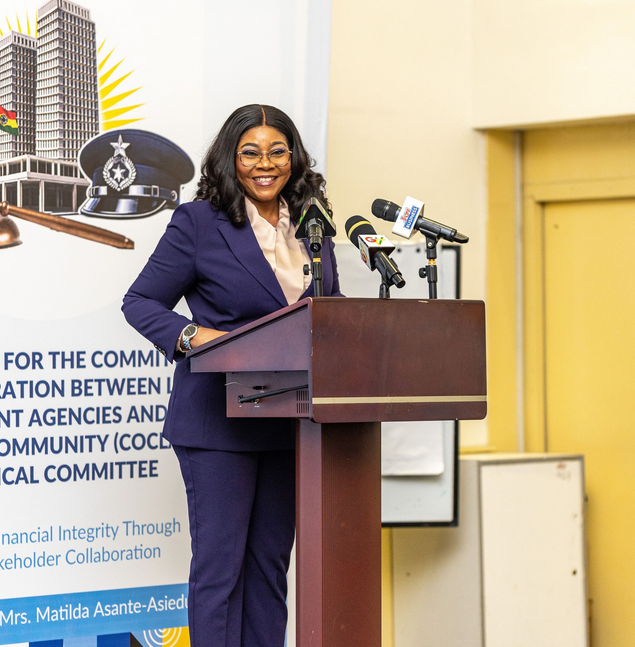 2nd Deputy BoG boss sounds alarm on digital fraudsters, calls for united front 2nd Deputy BoG boss sounds alarm on digital fraudsters, calls for united front