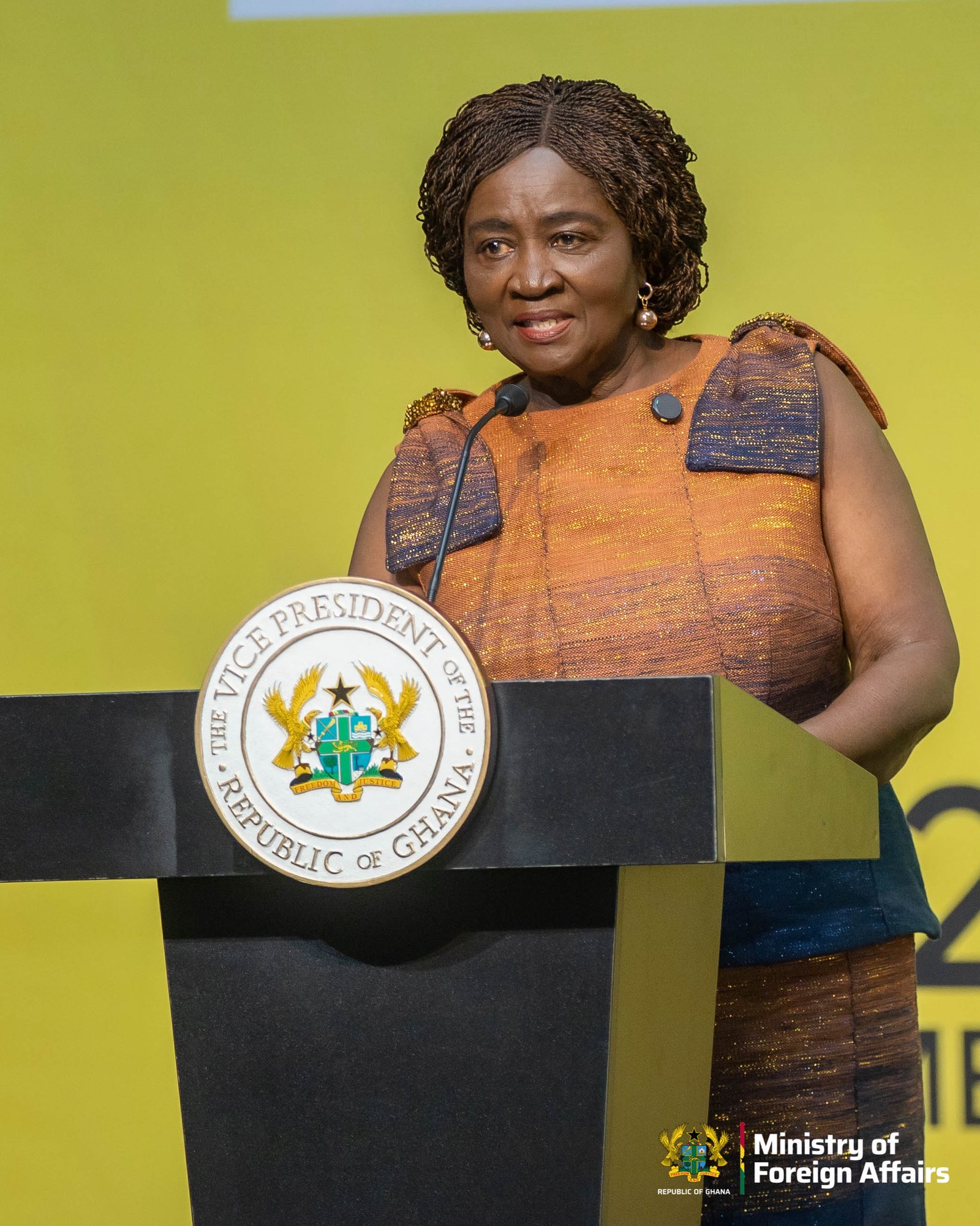 Photos: 2025 Diaspora Summit Photos: 2025 Diaspora Summit