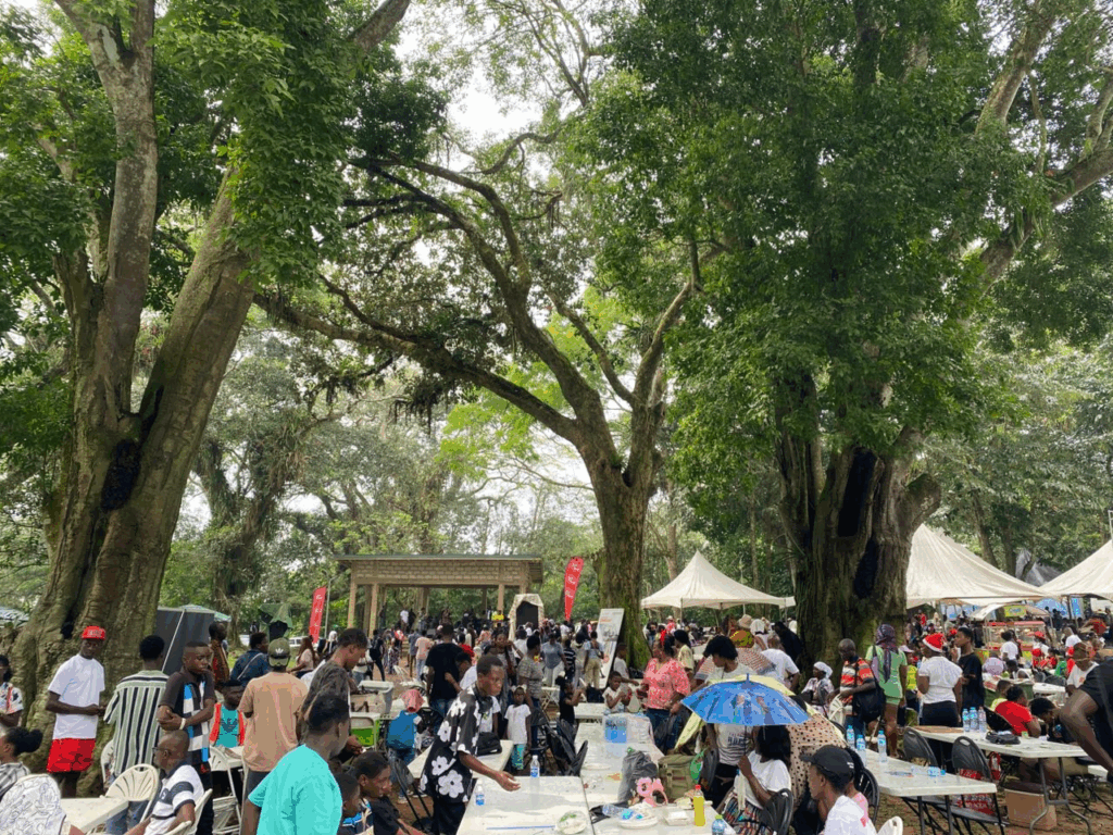 Mammoth crowd turned up for 2025 edition of Joy FM’s Family Party in the Park Mammoth crowd turned up for 2025 edition of Joy FM’s Family Party in the Park