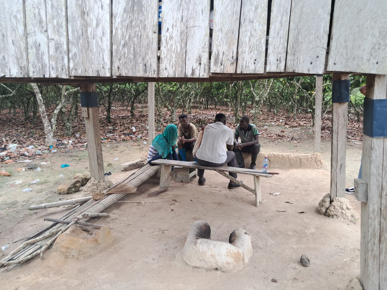 Agricultural cooperatives emerging as climate champions in rural Ghana Agricultural cooperatives emerging as climate champions in rural Ghana