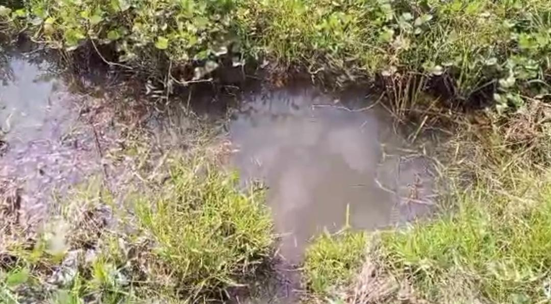 Before the Bell Rings, the Buckets Rise: How climate change is stealing childhood at Wassa Agave