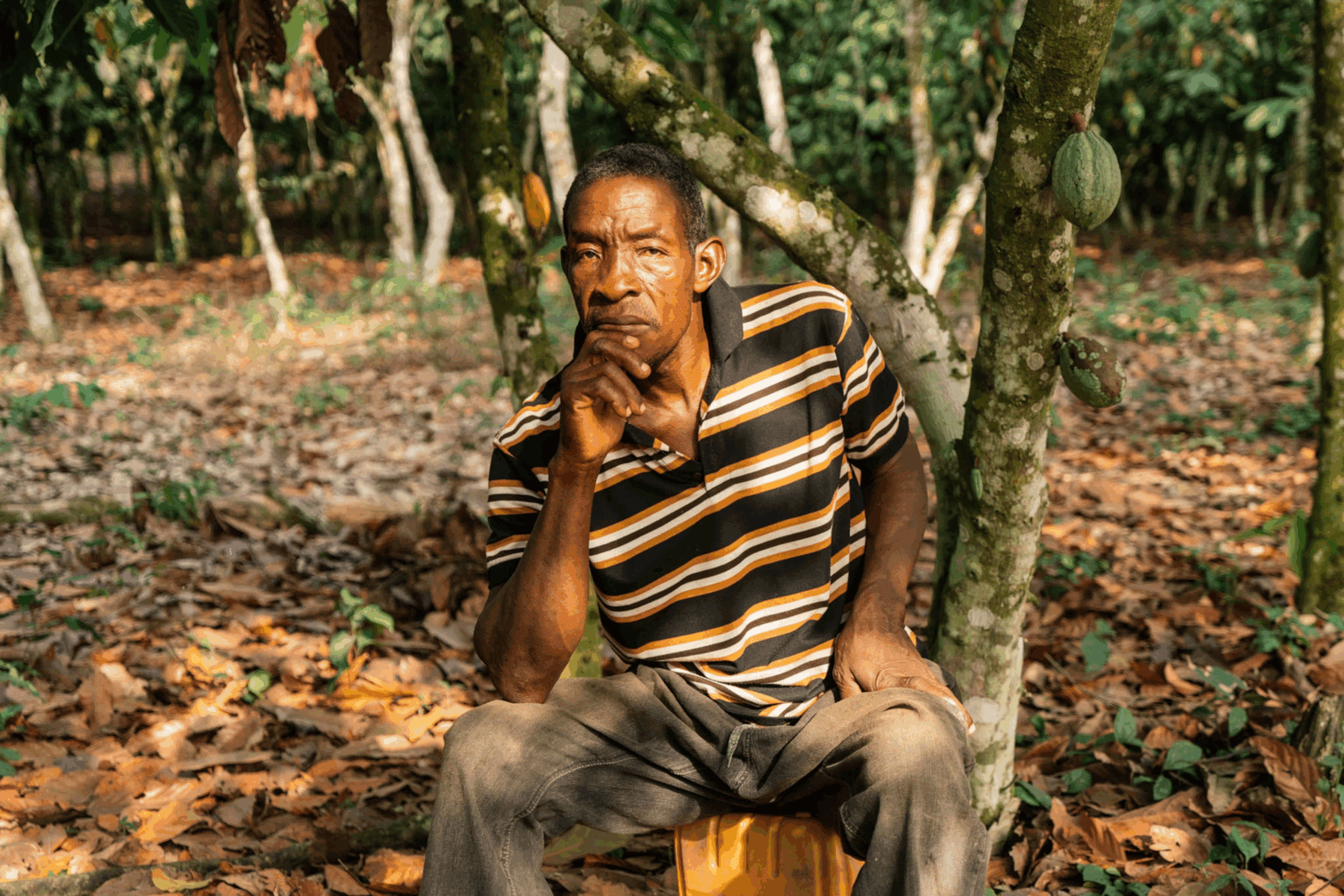 Galamsey is killing our cocoa, our water, our future - Minority warns of food security meltdown