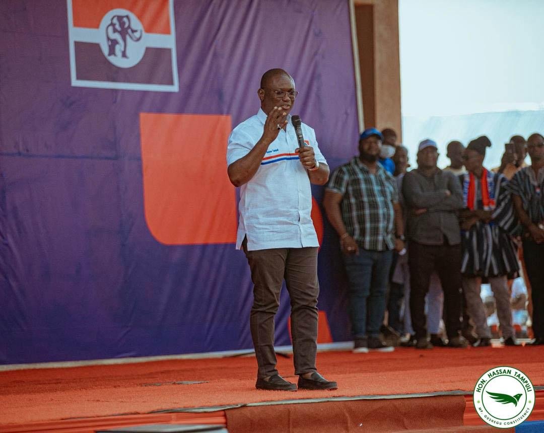 NPP race: Massive turnout in Gushegu as delegates endorse Bawumia