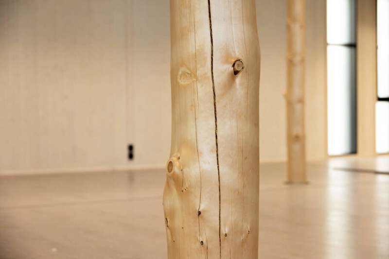 Construction emissions pose rising climate risk, Scientists Say