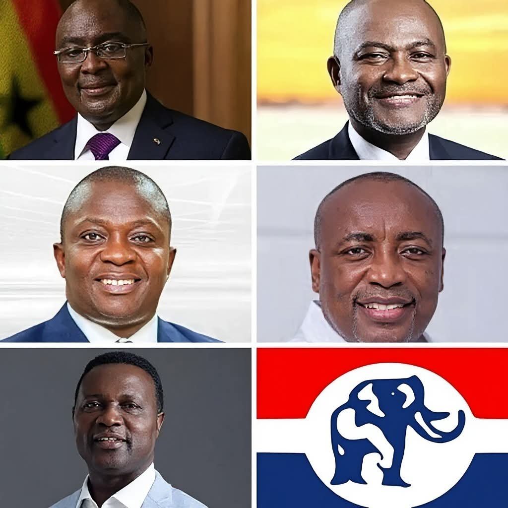 More than 8,500 delegates to vote in NPP presidential primaries in Upper East