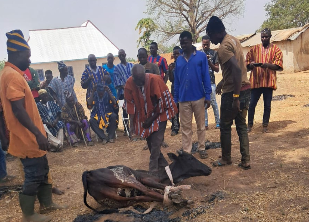 Coalition of unpaid teachers in Tamale issues 14-day ultimatum to gov't