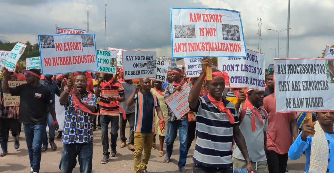 About 2,000 rubber farmers protest in Sekondi-Tarkoradi over calls to ban raw rubber exports About 2,000 rubber farmers protest in Sekondi-Tarkoradi over calls to ban raw rubber exports