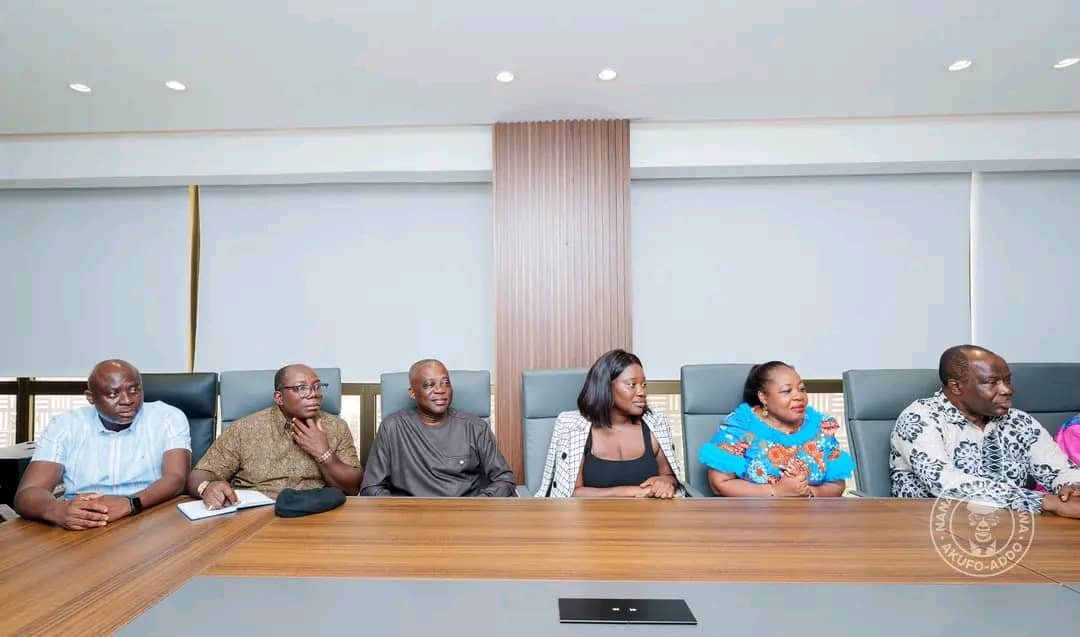 NPP Election Committee confers with Akufo-Addo as road to presidential primaries intensifies NPP Election Committee confers with Akufo-Addo as road to presidential primaries intensifies