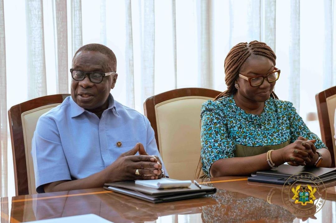 Chinese Ambassador bids farewell to President Mahama