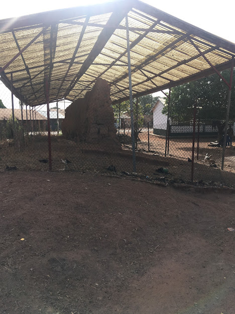 Gwollu, Resistance, and Renewal: The living legacy of the Tanjia Musa Fire Festival