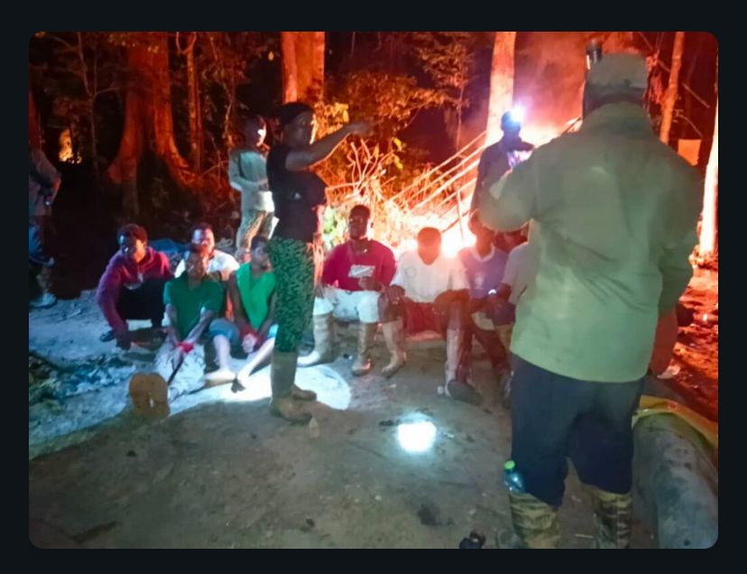Forestry Commission arrests 13 galamsey operators in Boin Tano Forestry Commission arrests 13 galamsey operators in Boin Tano