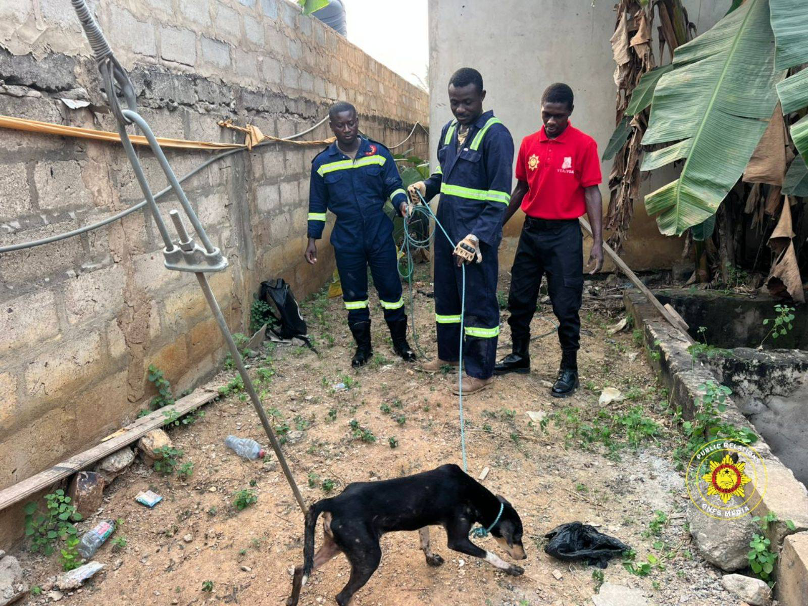 Firefighters rescue dog trapped in well at Amamorley