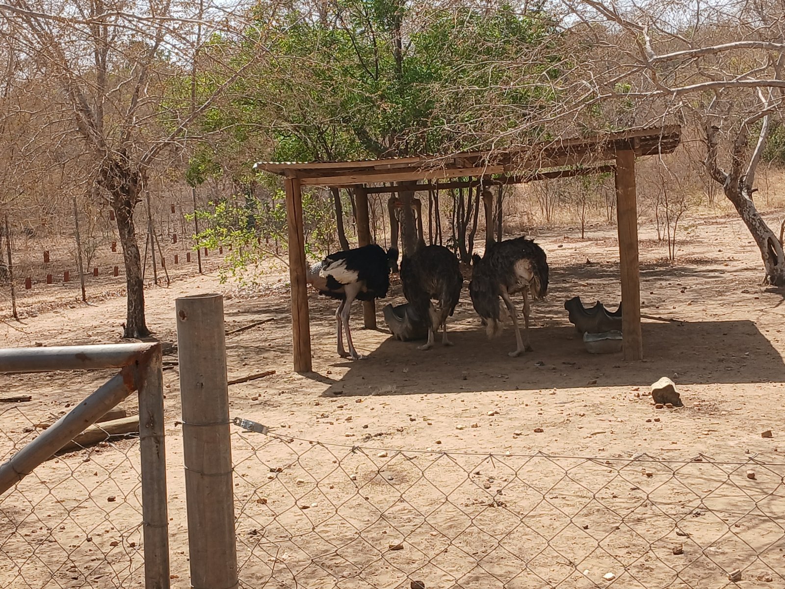 Dagbani Wikimedians, sister language communities hold annual capacity building retreat in Wa