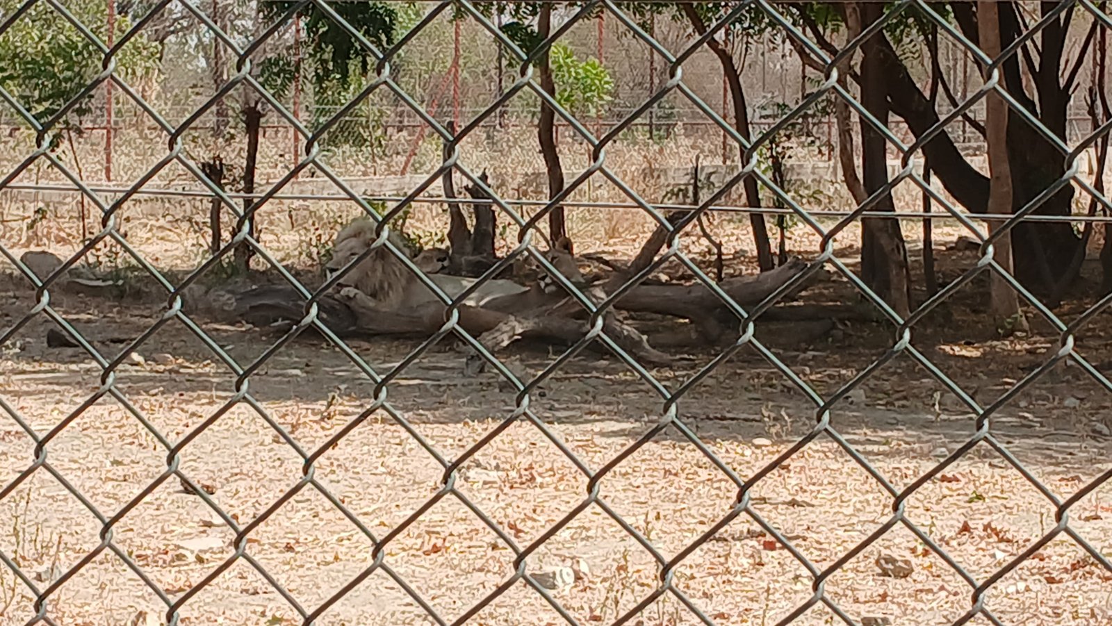 Dagbani Wikimedians, sister language communities hold annual capacity building retreat in Wa