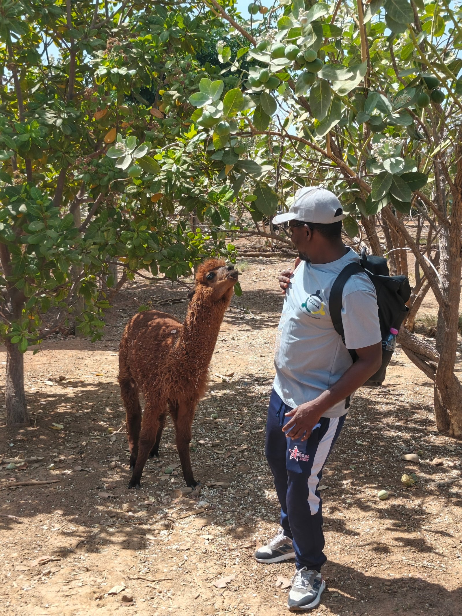 Dagbani Wikimedians, sister language communities hold annual capacity building retreat in Wa