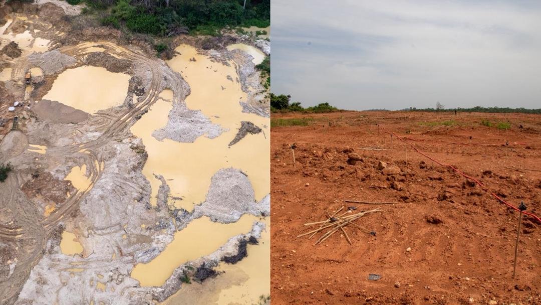 Galamsey fight: Lands Minister inspects 320 reclaimed hectares at Manso Nyankomanse, assures intensified reclamation drive